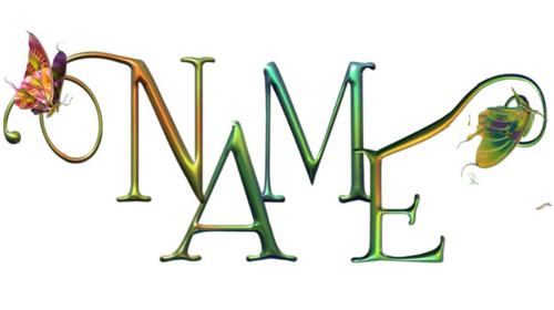 name的不同搭配你知道多少?